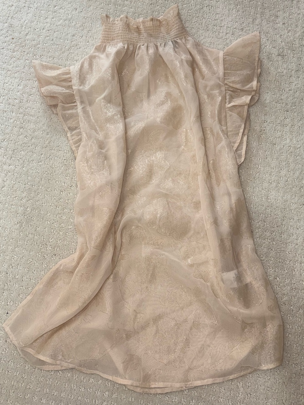 RW&CO. Light Blush Sheer Ruffled Off-Shoulder Blouse